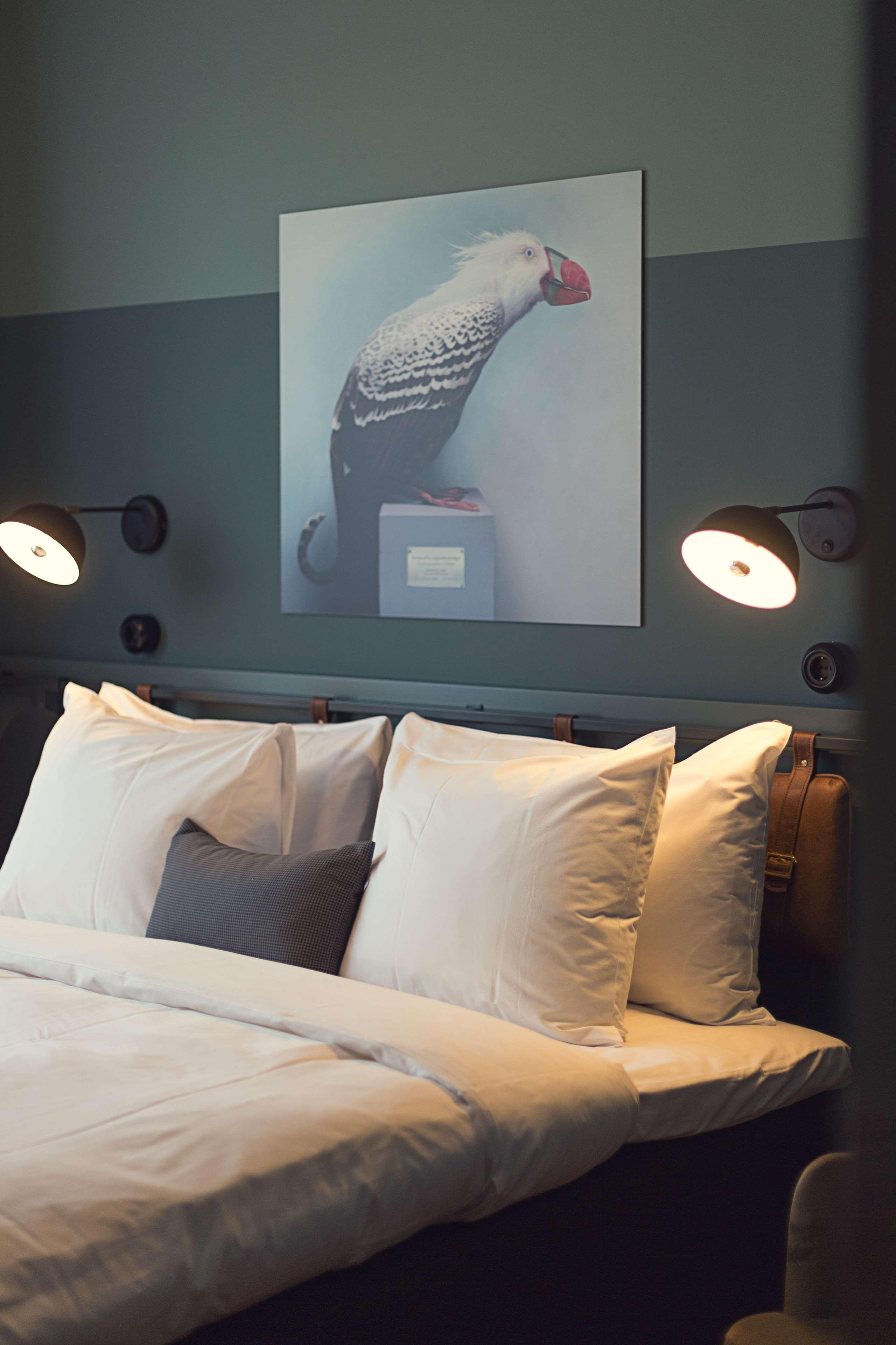 Best Western Plus Fort Worth Forest Hill Inn & Suites Extérieur photo